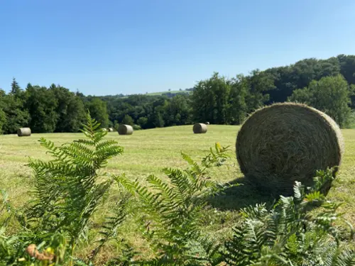Vigeois Corrèze terreno foto 7091159