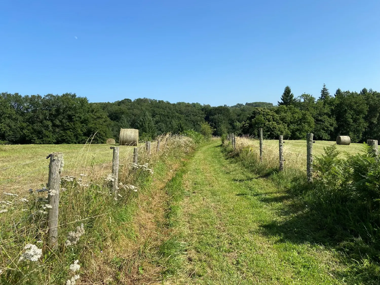en venta terreno Vigeois Corrèze 3