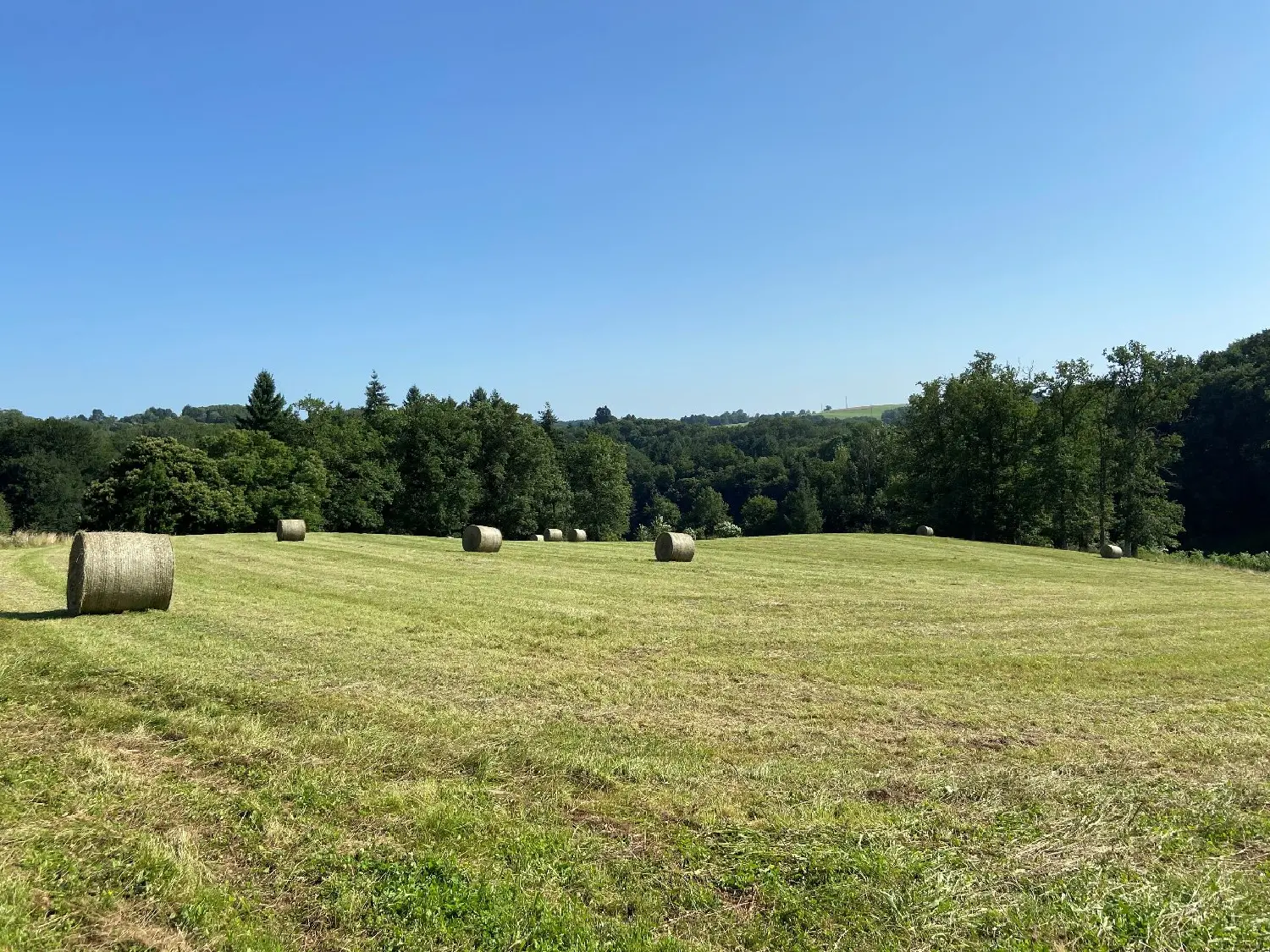  for sale terrain Vigeois Corrèze 5
