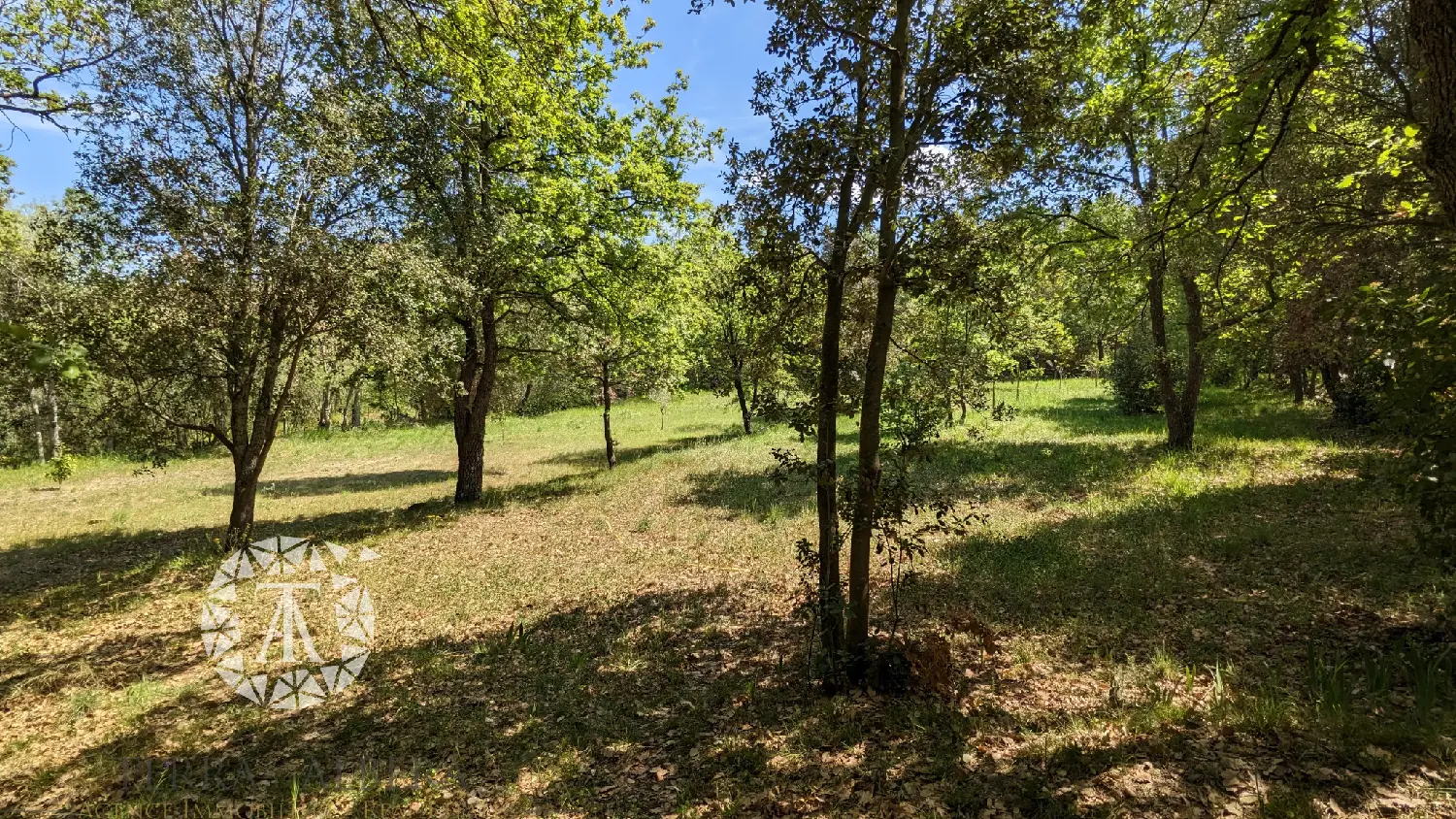 en venta terreno Villelongue-dels-Monts Pirineo Oriental 3