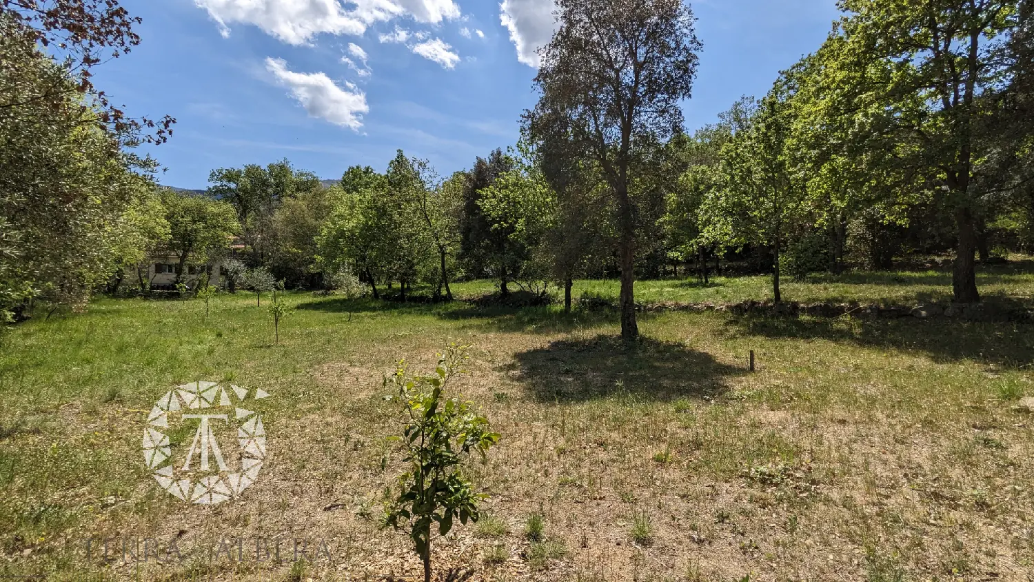  en venta terreno Villelongue-dels-Monts Pirineo Oriental 4