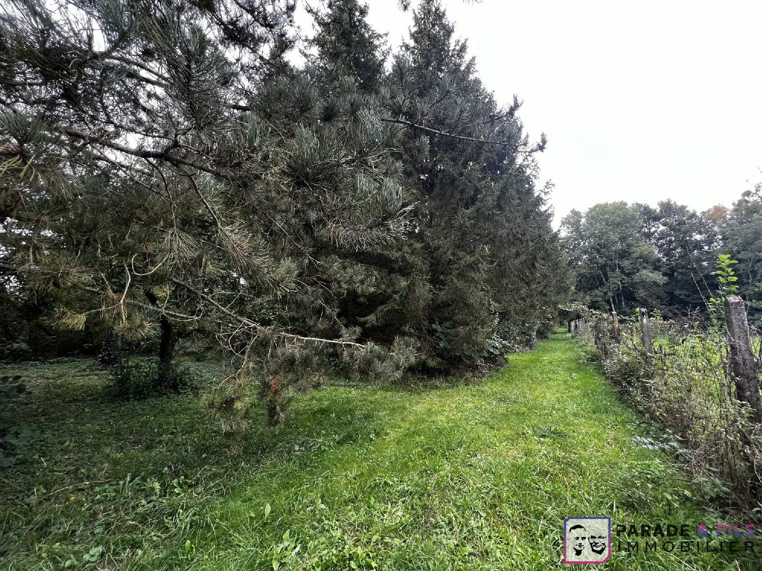  kaufen Grundstück Xirocourt Meurthe-et-Moselle 4
