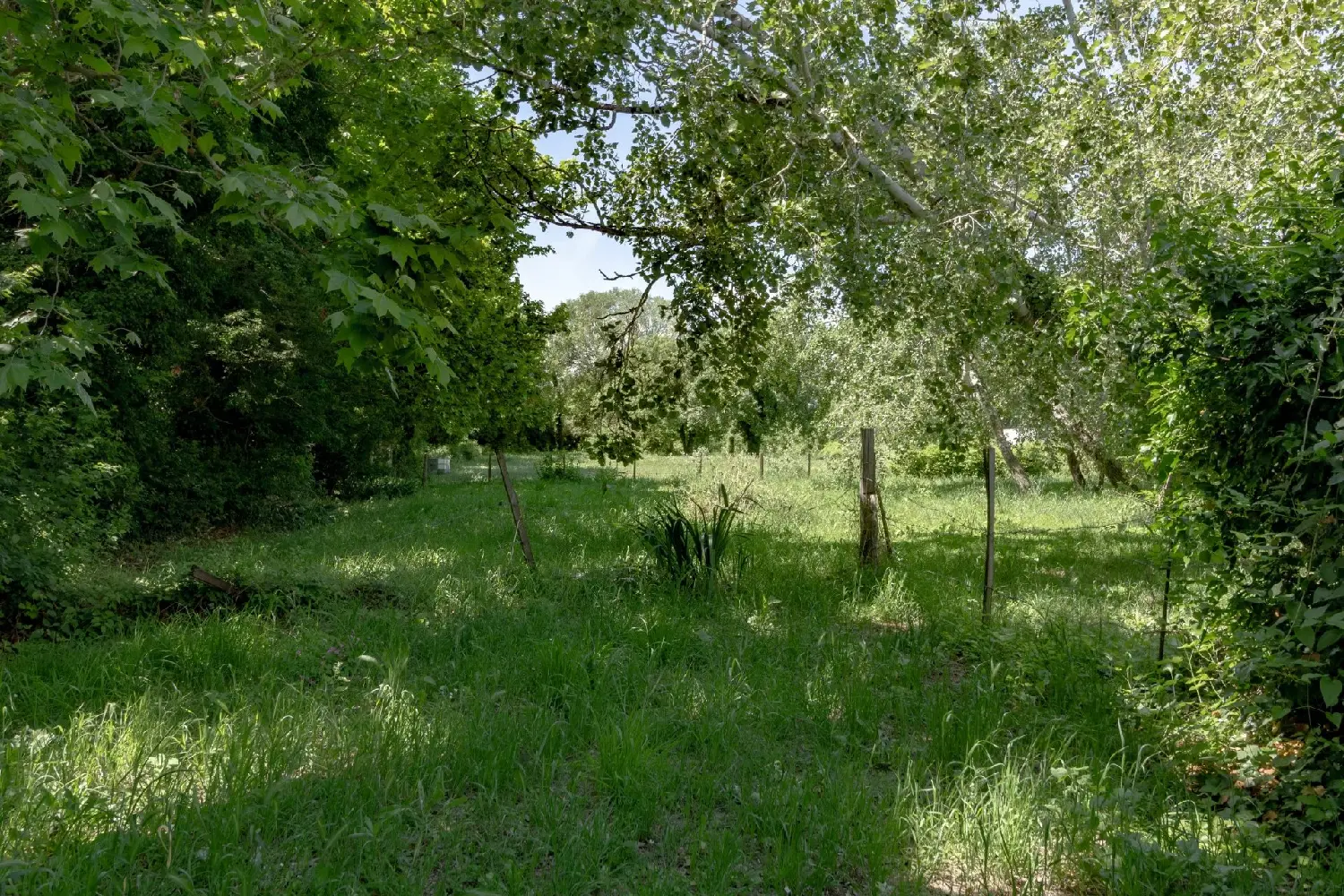  te koop villa Arles Bouches-du-Rhône 6