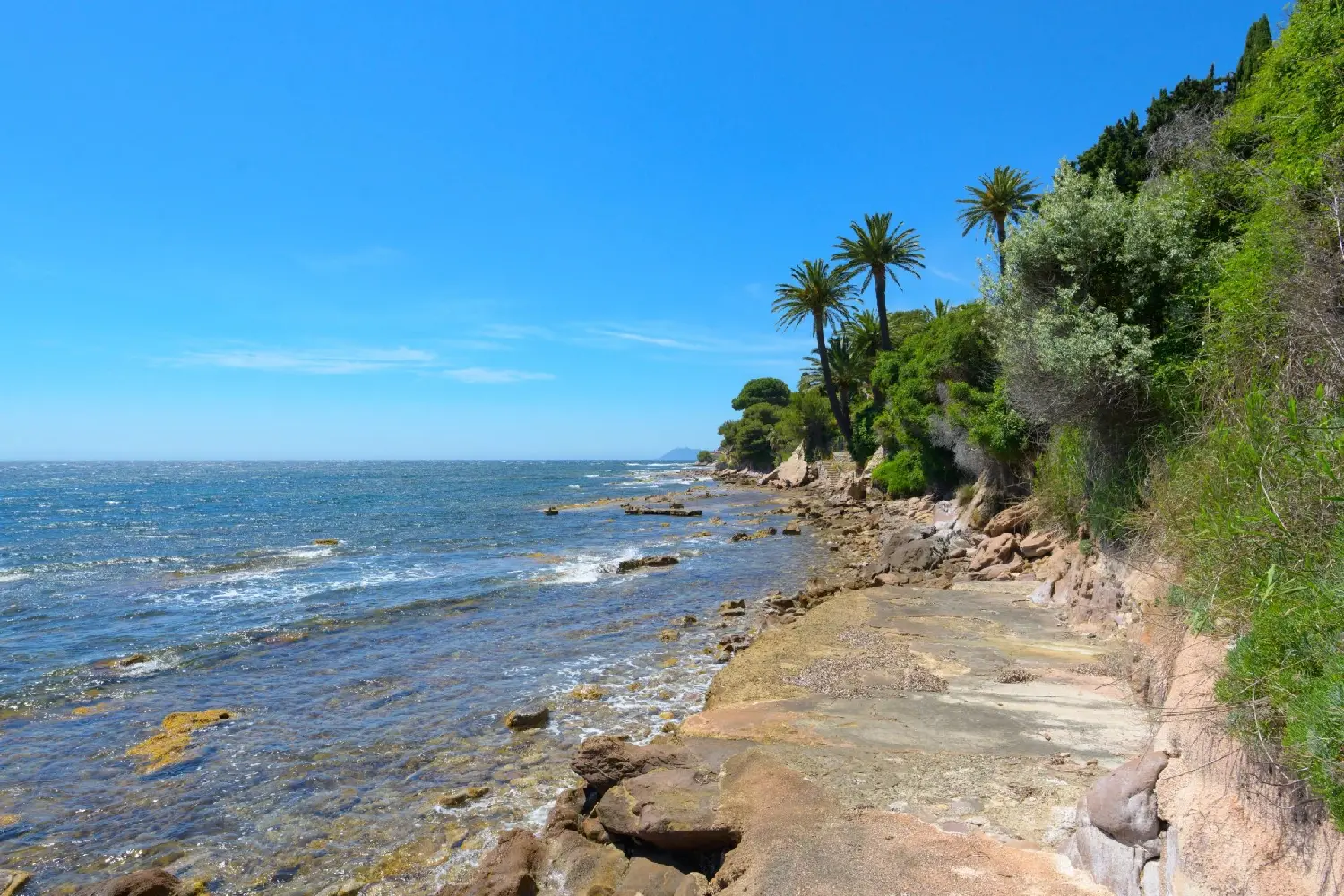  te koop villa Carqueiranne Var 2