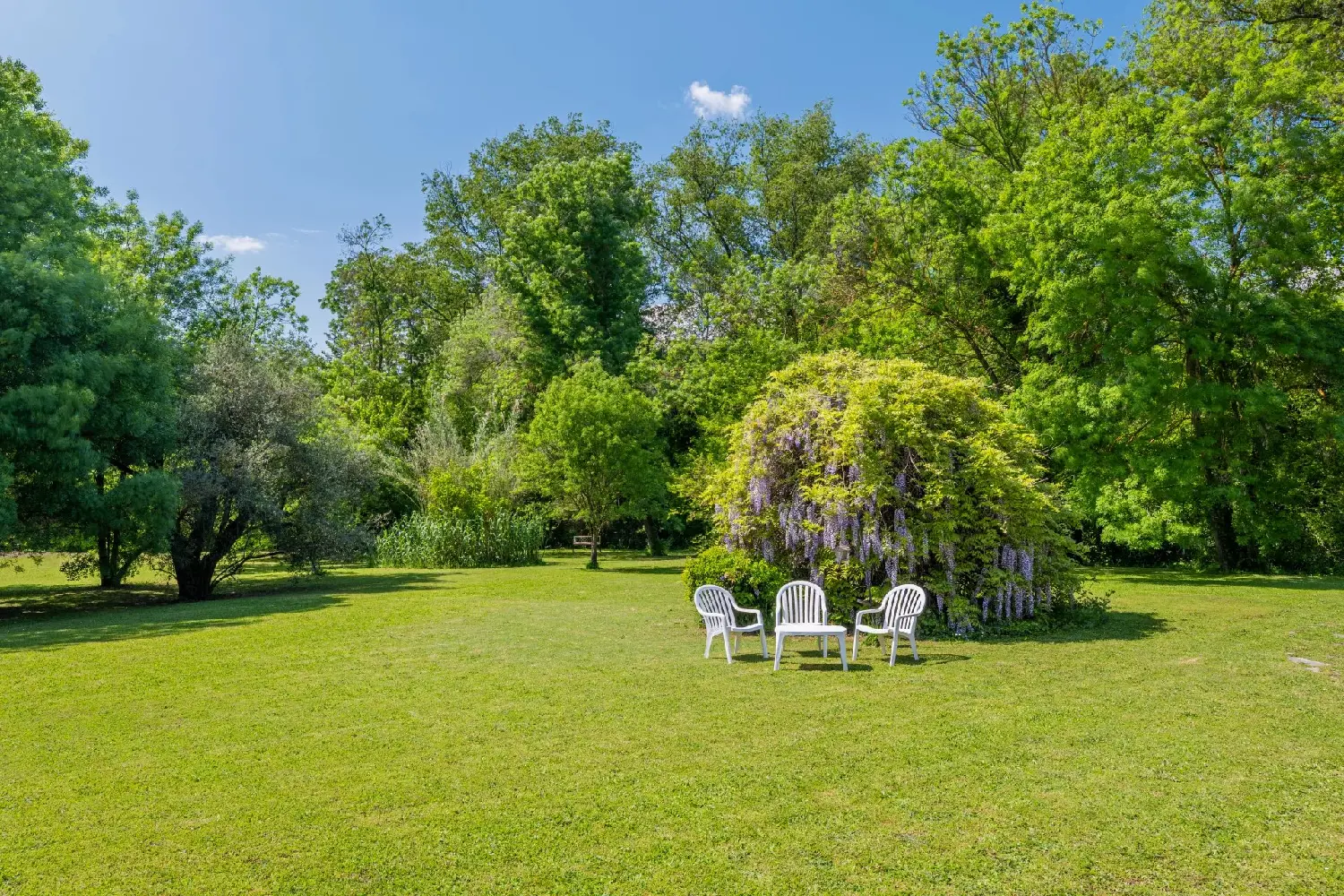  en venta villa Châteauneuf-Grasse Alpes-Maritimes 6