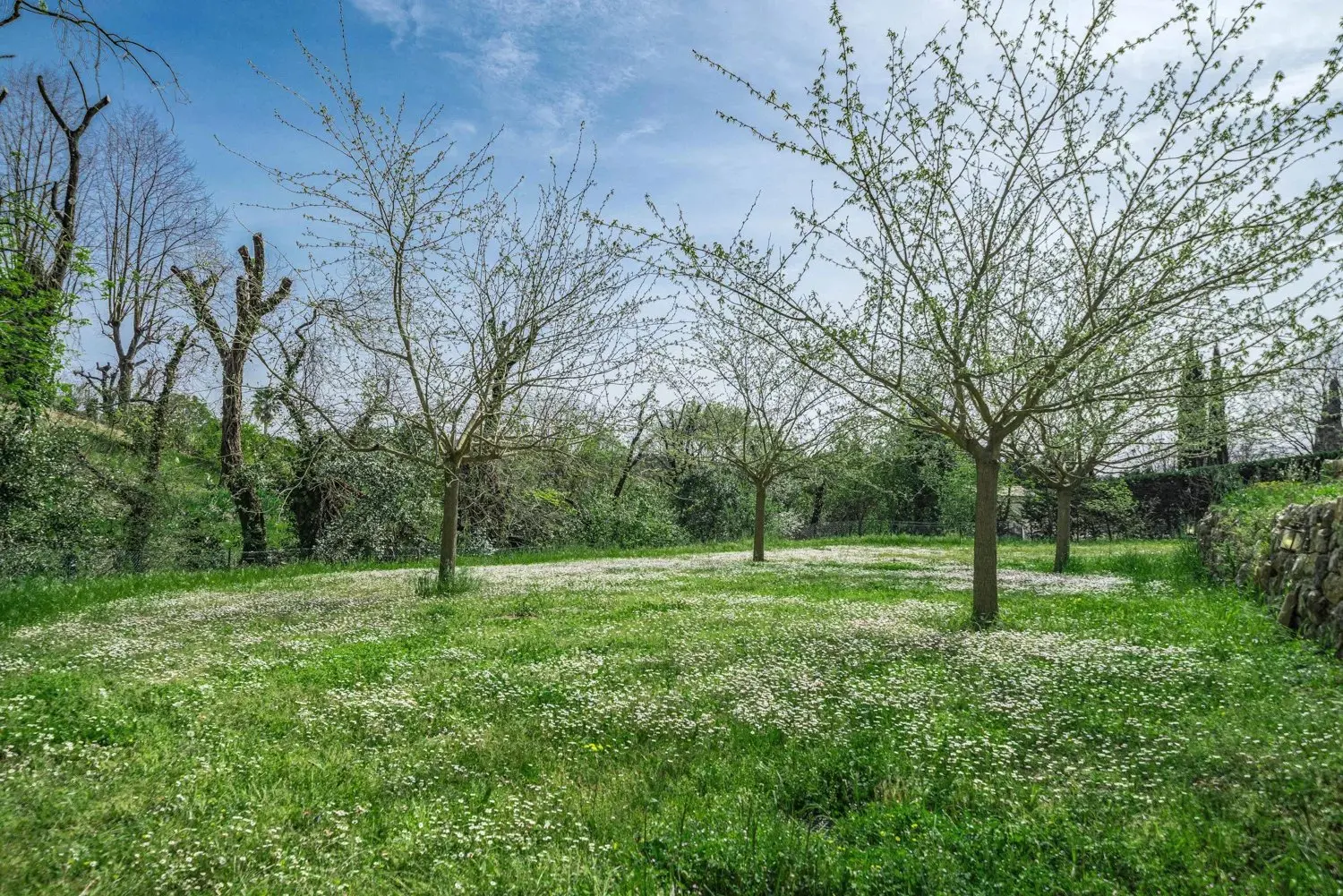  kaufen Villa Châteauneuf-Grasse Alpes-Maritimes 5