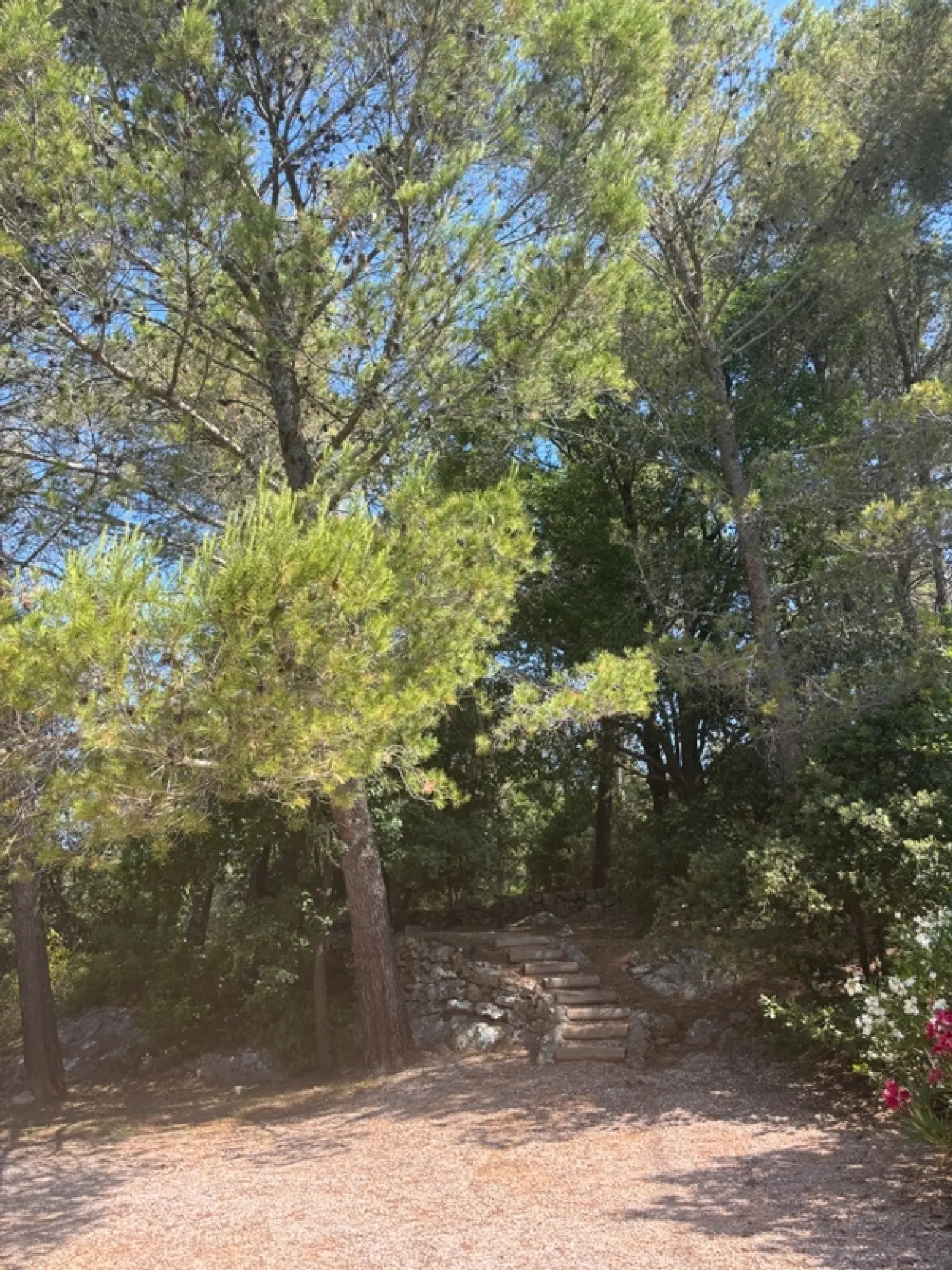  for sale villa Cotignac Var 3