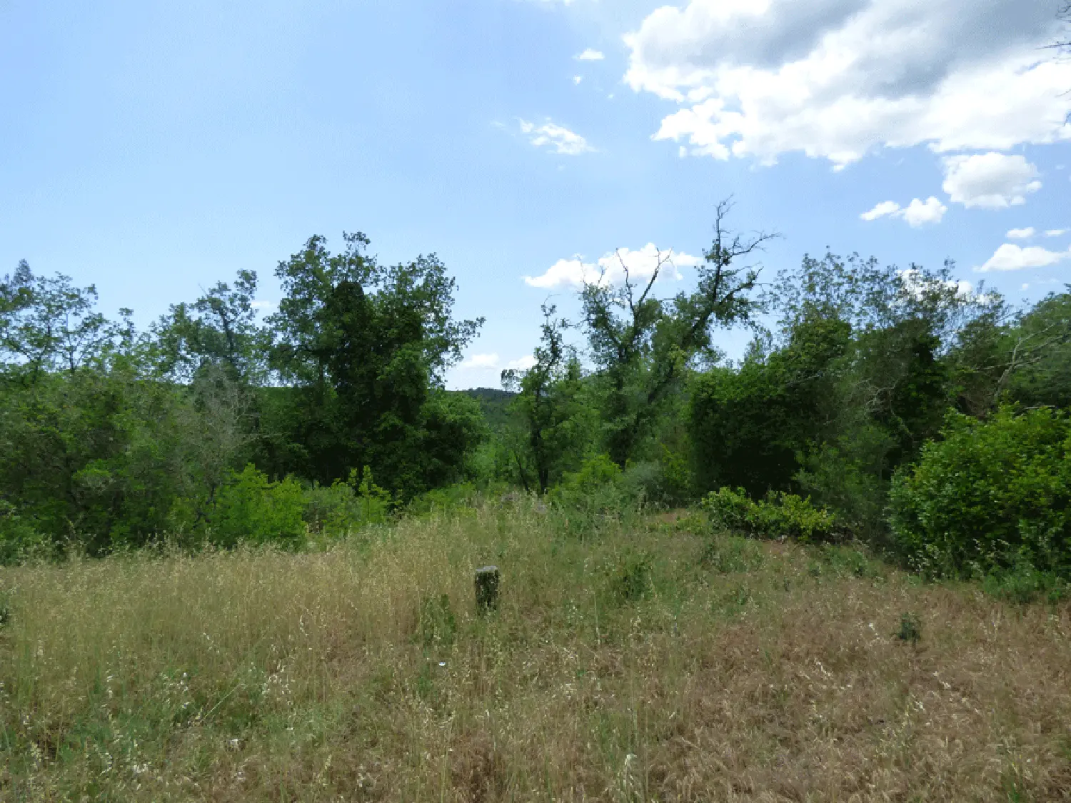  for sale villa Fayence Var 1