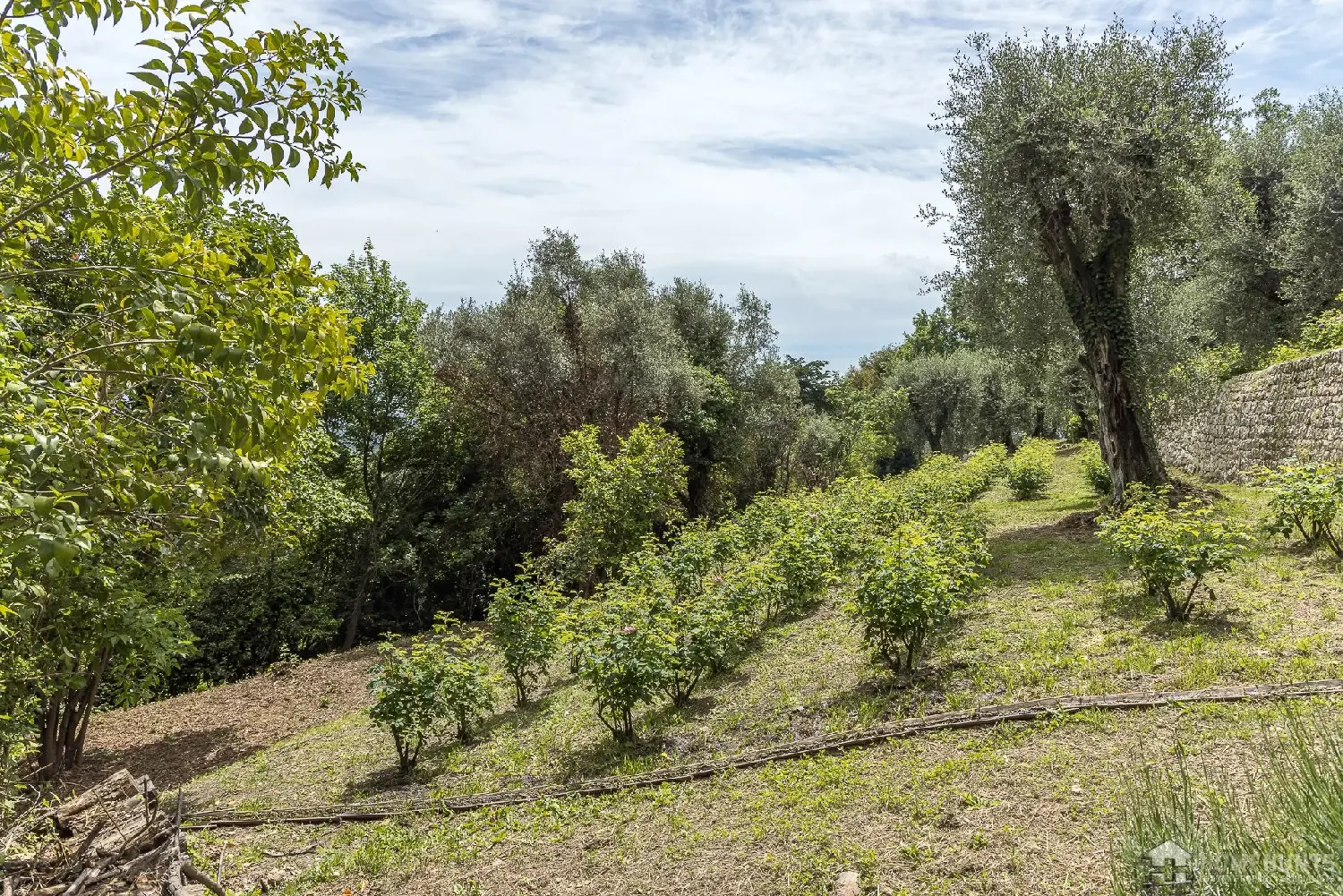  en venta villa Grasse Alpes-Maritimes 8