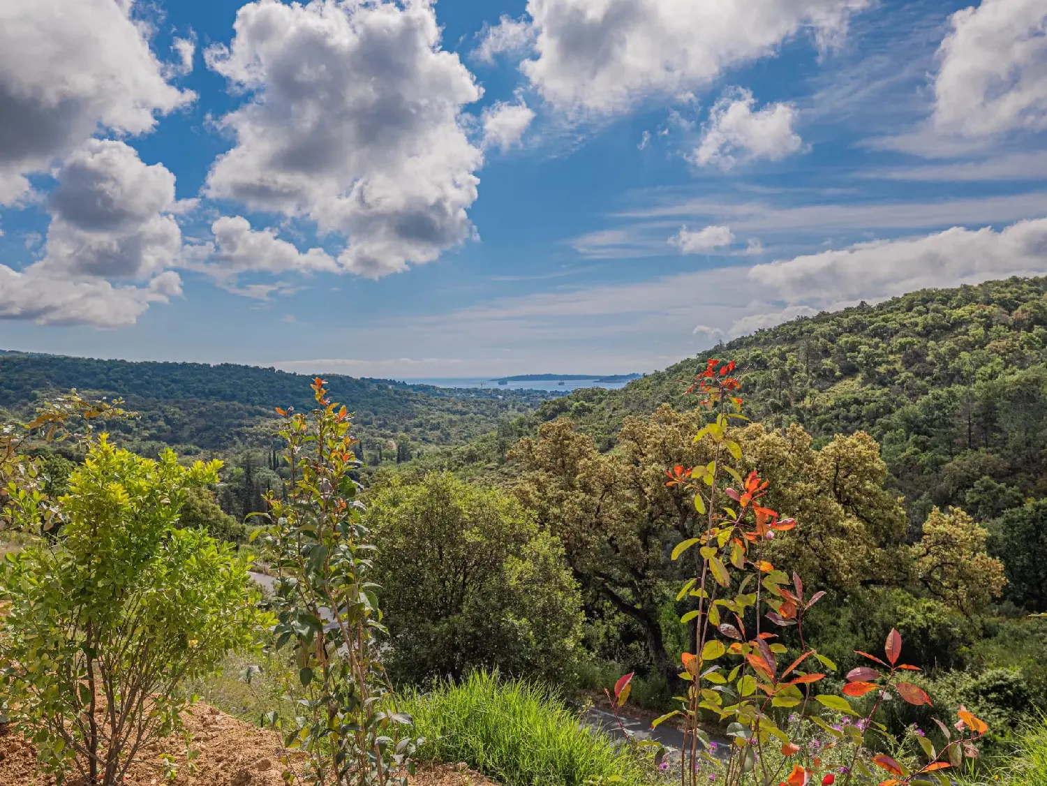 kaufen Villa Grimaud Var 2