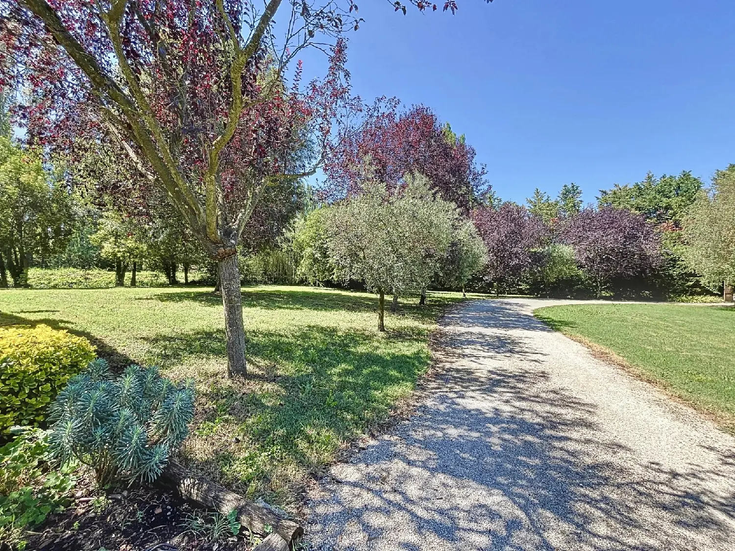  à vendre villa Saint-Rémy-de-Provence Bouches-du-Rhône 2