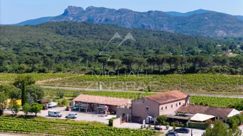 La Motte Var villa foto 7097984