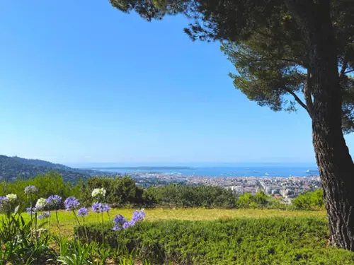 Le Cannet Alpes-Maritimes villa foto 7098705