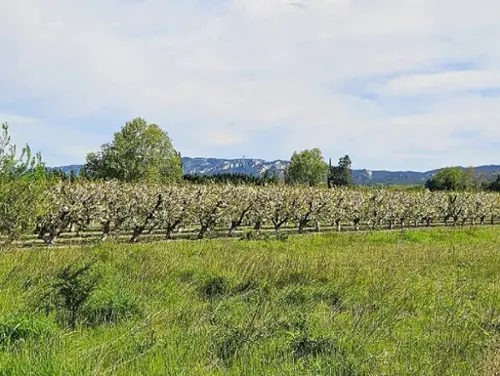Maillane Bouches-du-Rhône villa foto 7098867