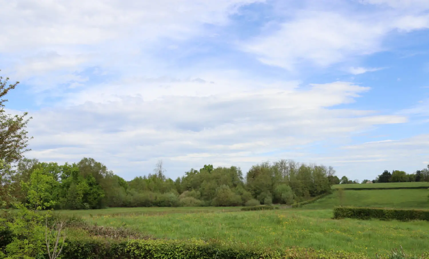  for sale villa Ménétreuil Saône-et-Loire 3