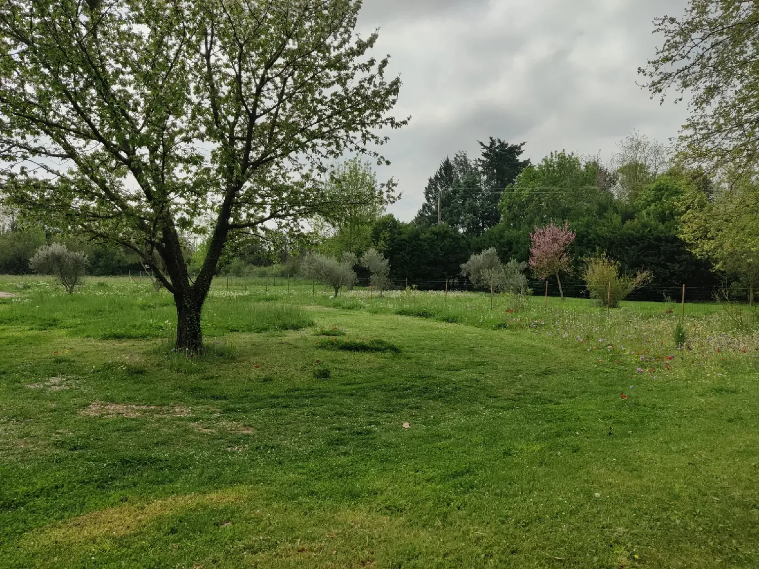  à vendre villa Mollégès Bouches-du-Rhône 2