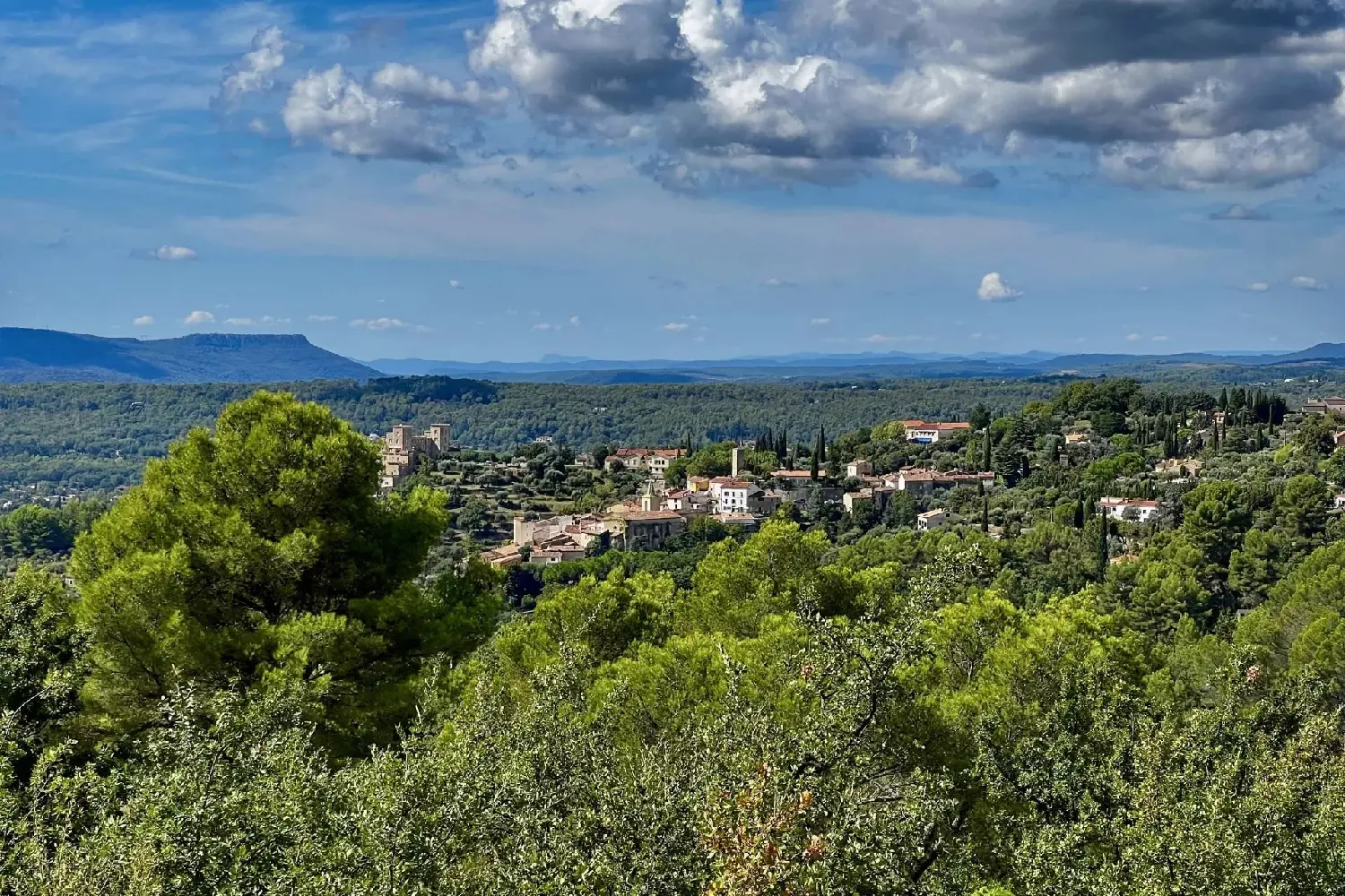  te koop villa Montauroux Var 3