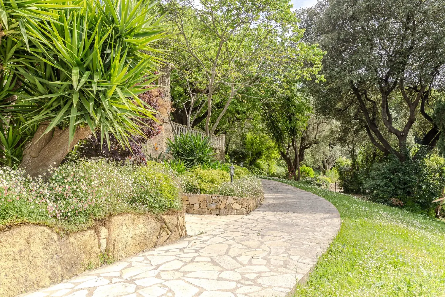  kaufen Villa Mougins Alpes-Maritimes 8