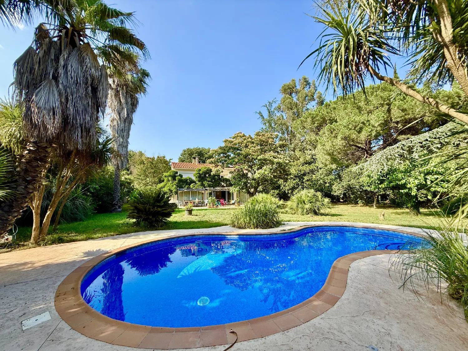  te koop villa Palau-del-Vidre Pyrénées-Orientales 4