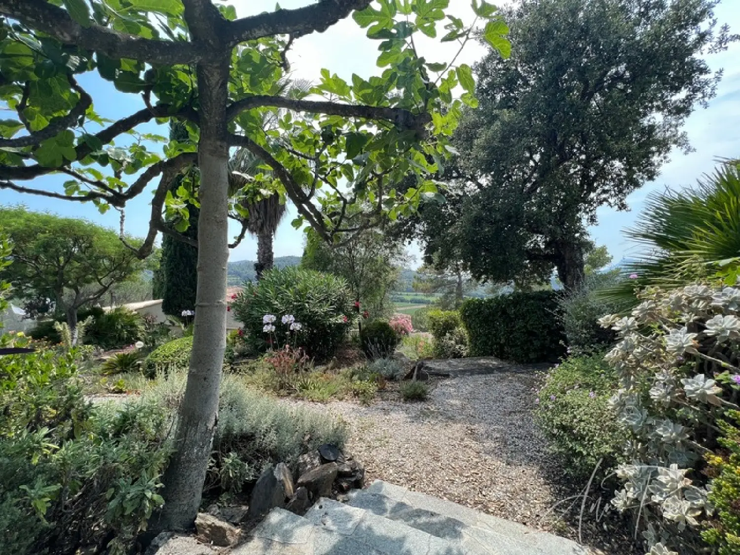  à vendre villa Pierrefeu-du-Var Var 6