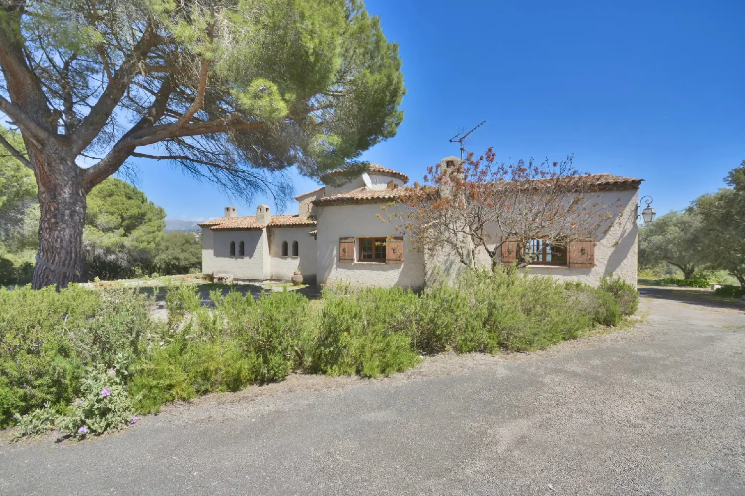  en venta villa Roquefort-les-pins Alpes-Maritimes 5