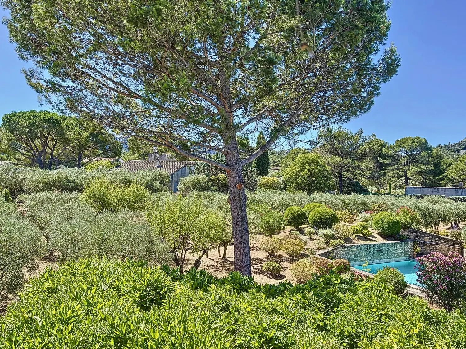  te koop villa Saint-Rémy-de-Provence Bouches-du-Rhône 2