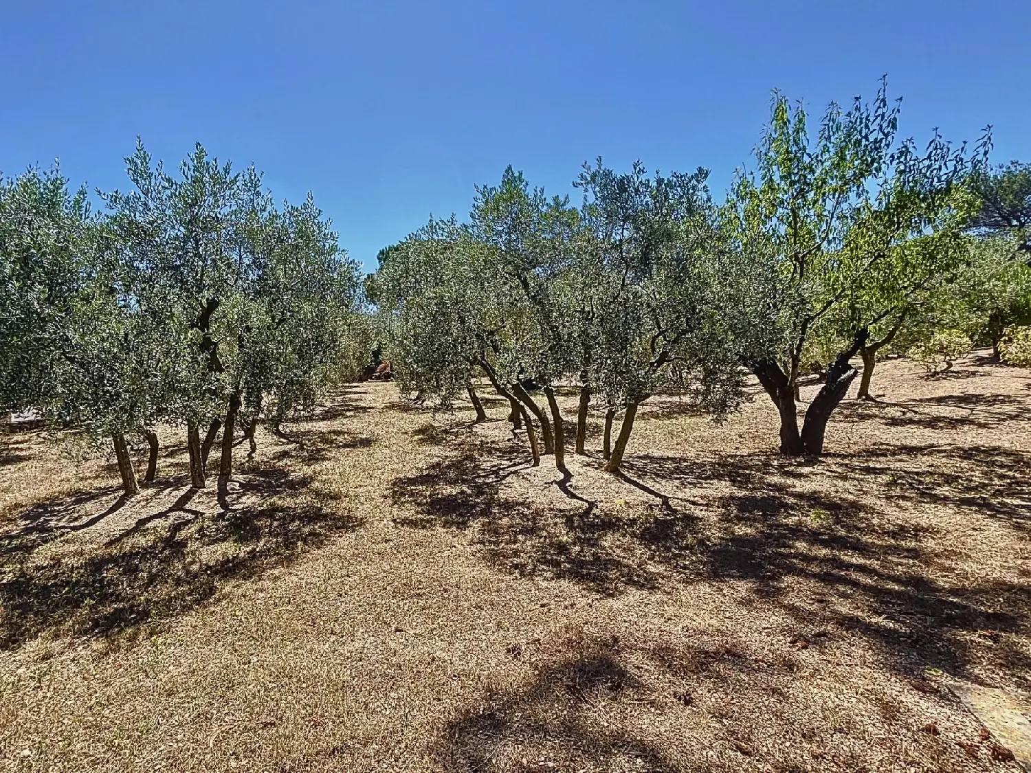  te koop villa Saint-Rémy-de-Provence Bouches-du-Rhône 5