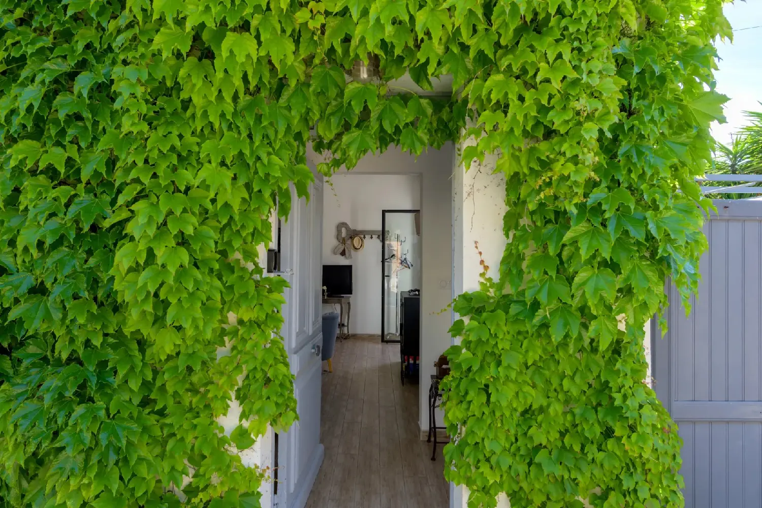  kaufen Villa Sanary-sur-Mer Var 1