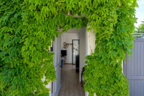 Sanary-sur-Mer Var Villa Bild 7098599