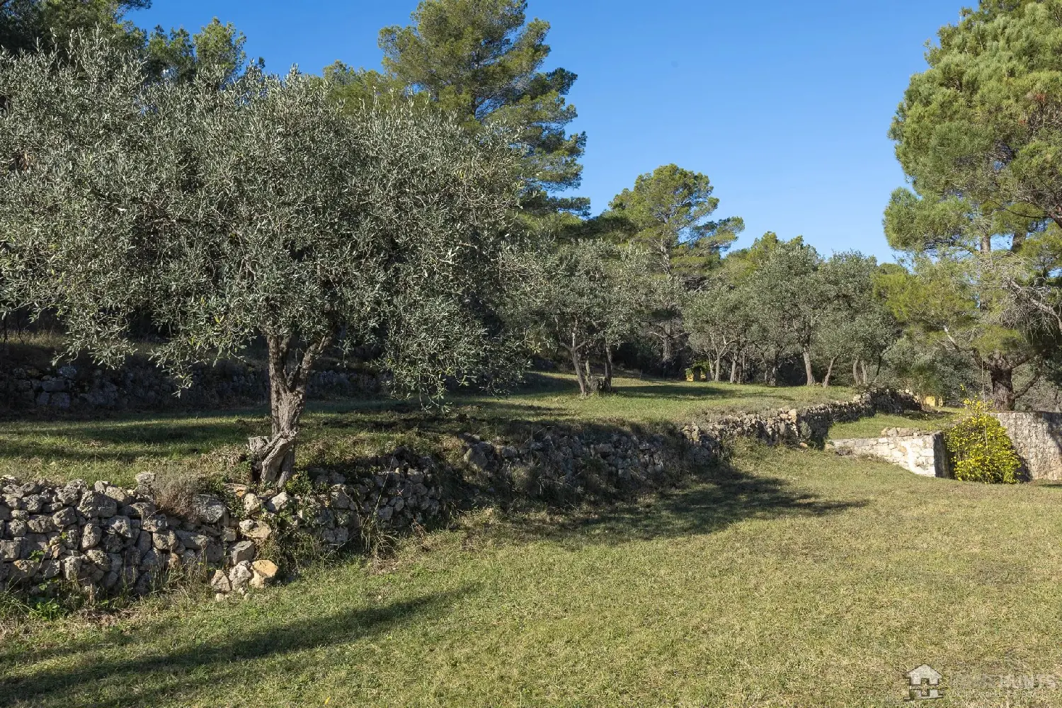  te koop villa Seillans Var 8