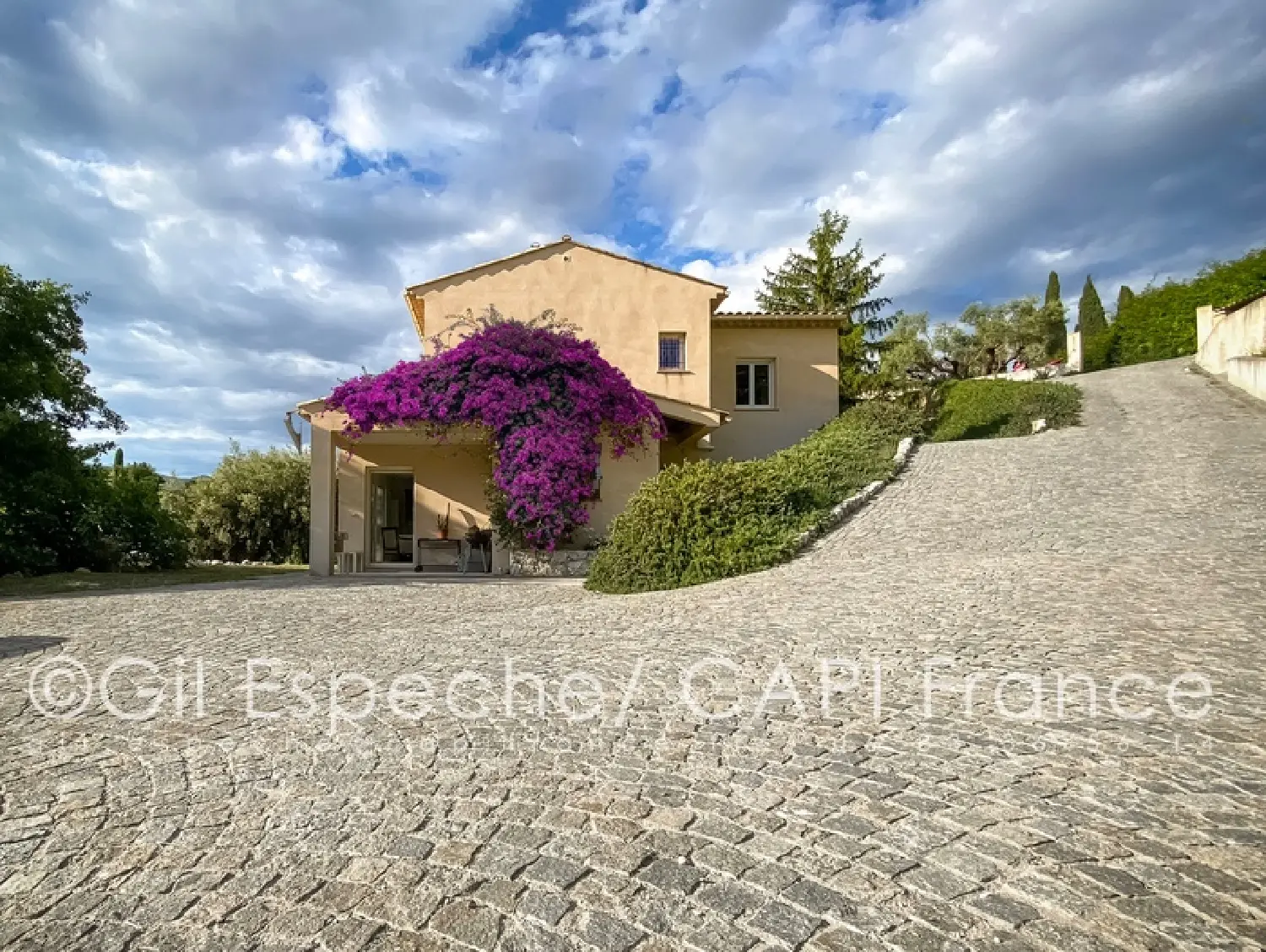  à vendre villa Vence Alpes-Maritimes 6
