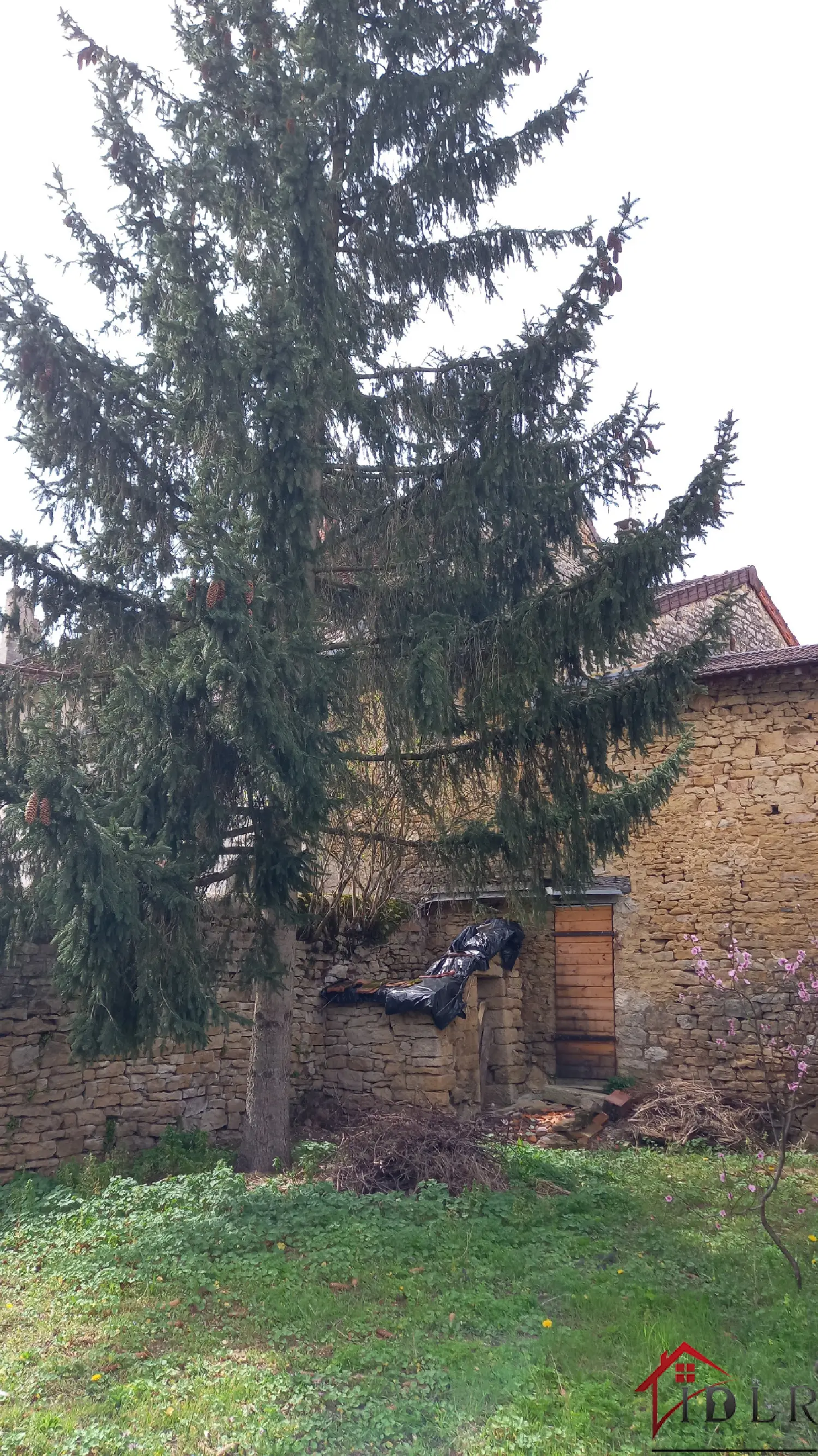  en venta casa de pueblo Beaufort Jura 5