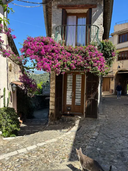 Cagnes-sur-Mer Alpes-Maritimes dorpshuis foto 7088747