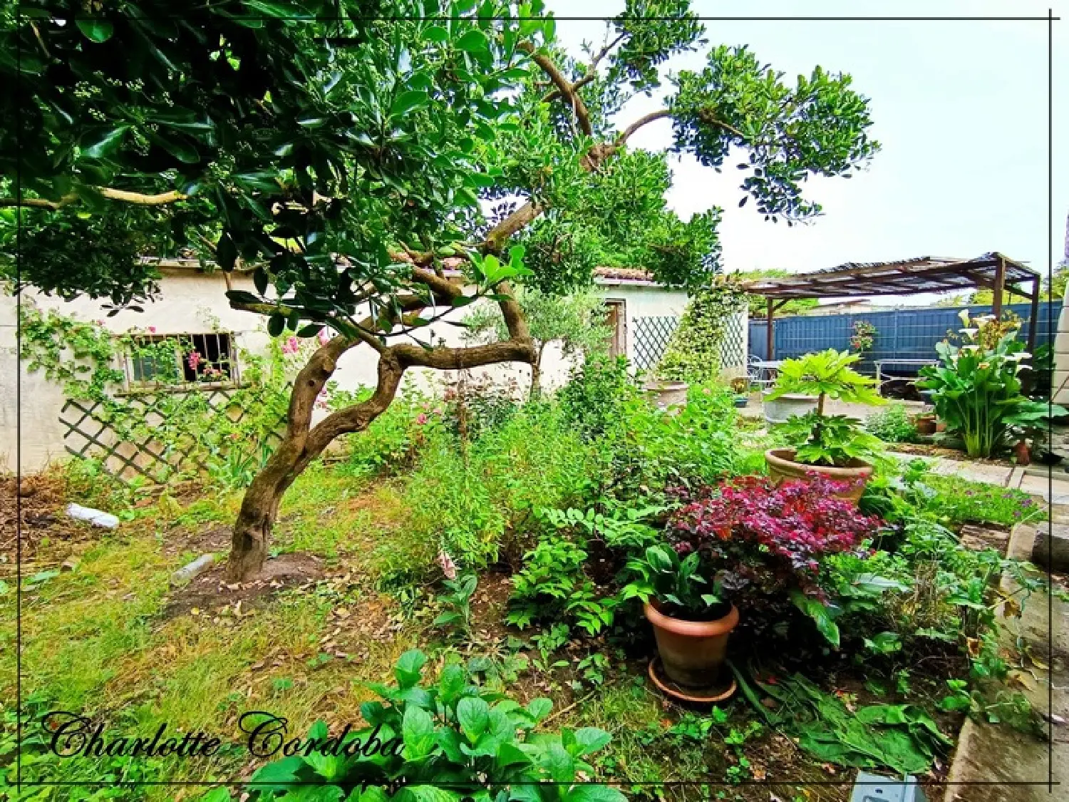  en venta casa de pueblo Feugarolles Lot-et-Garonne 4
