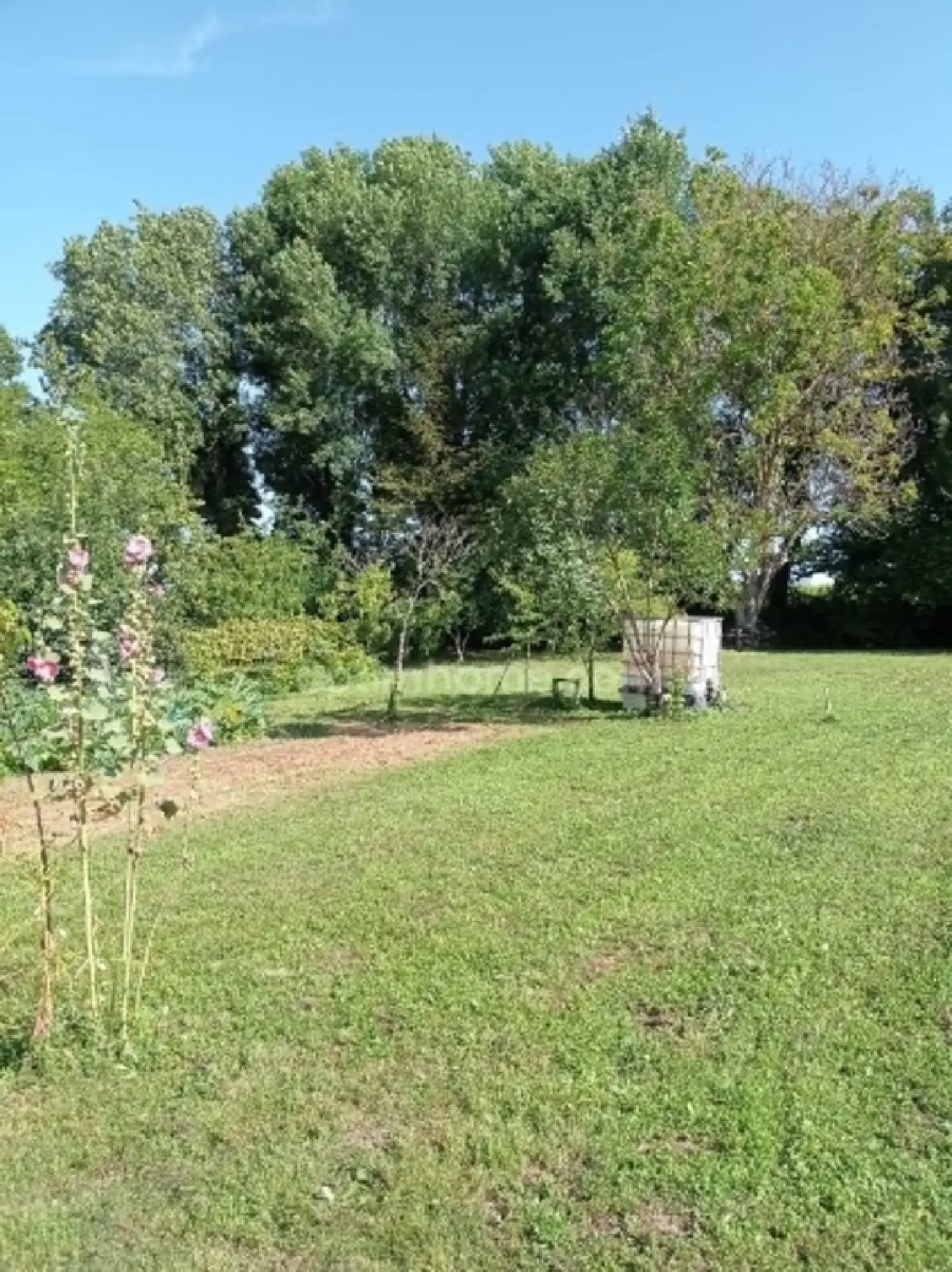  en venta casa de pueblo Mesnac Charente 6
