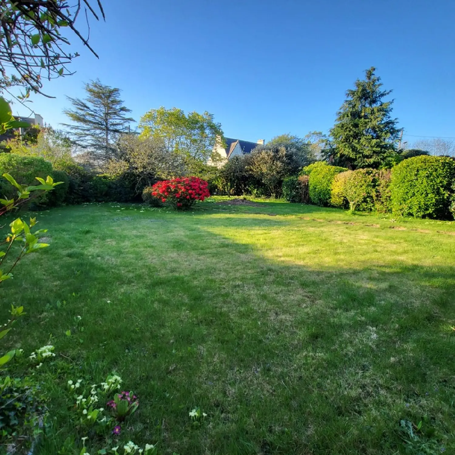  for sale village house Plogastel-Saint-Germain Finistère 3