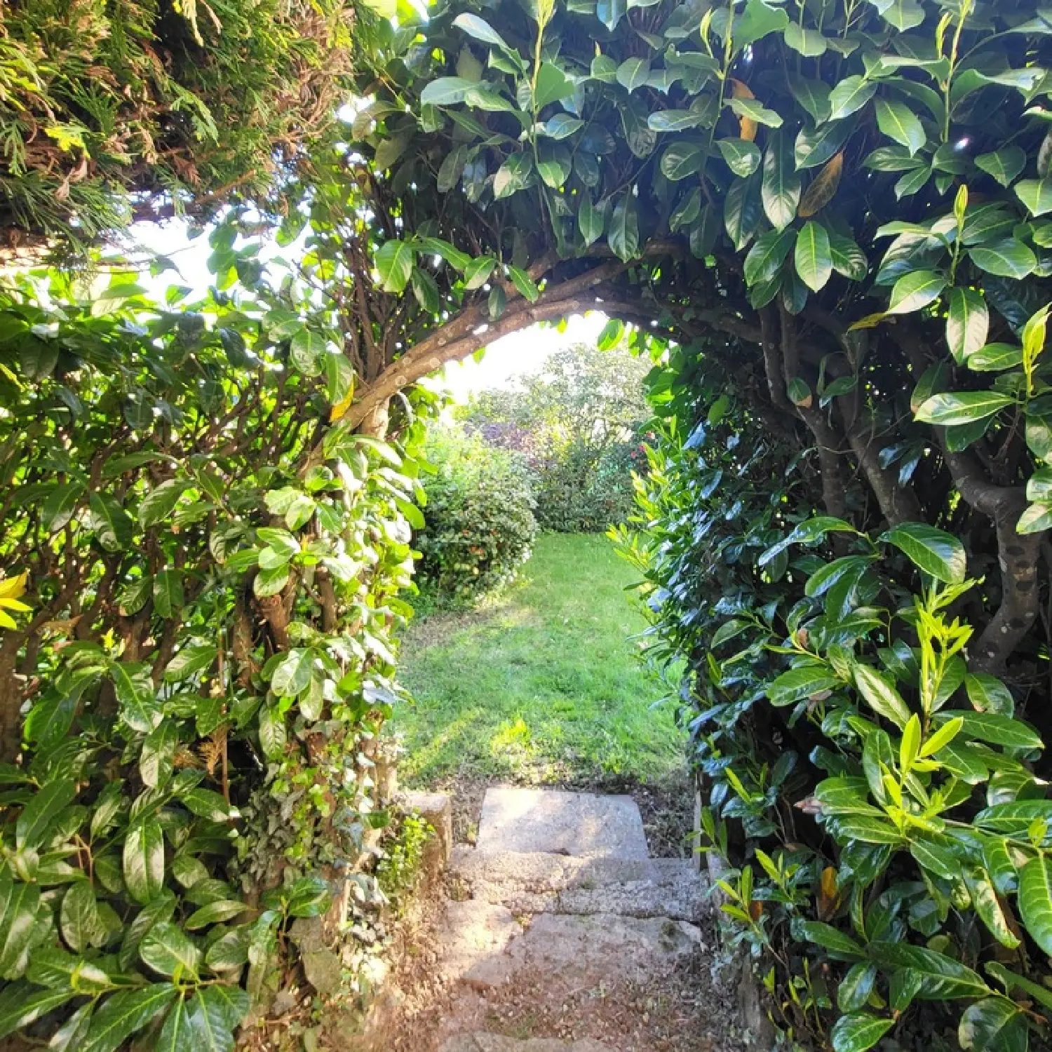  for sale village house Plogastel-Saint-Germain Finistère 6