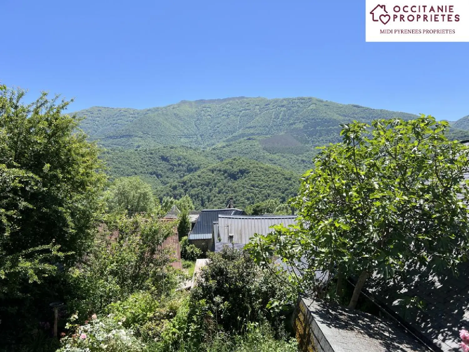 en venta casa de pueblo Saint-Jean-du-Castillonnais Ariège 2