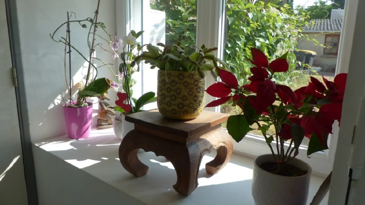  en venta casa de pueblo Thouars Deux-Sèvres 1