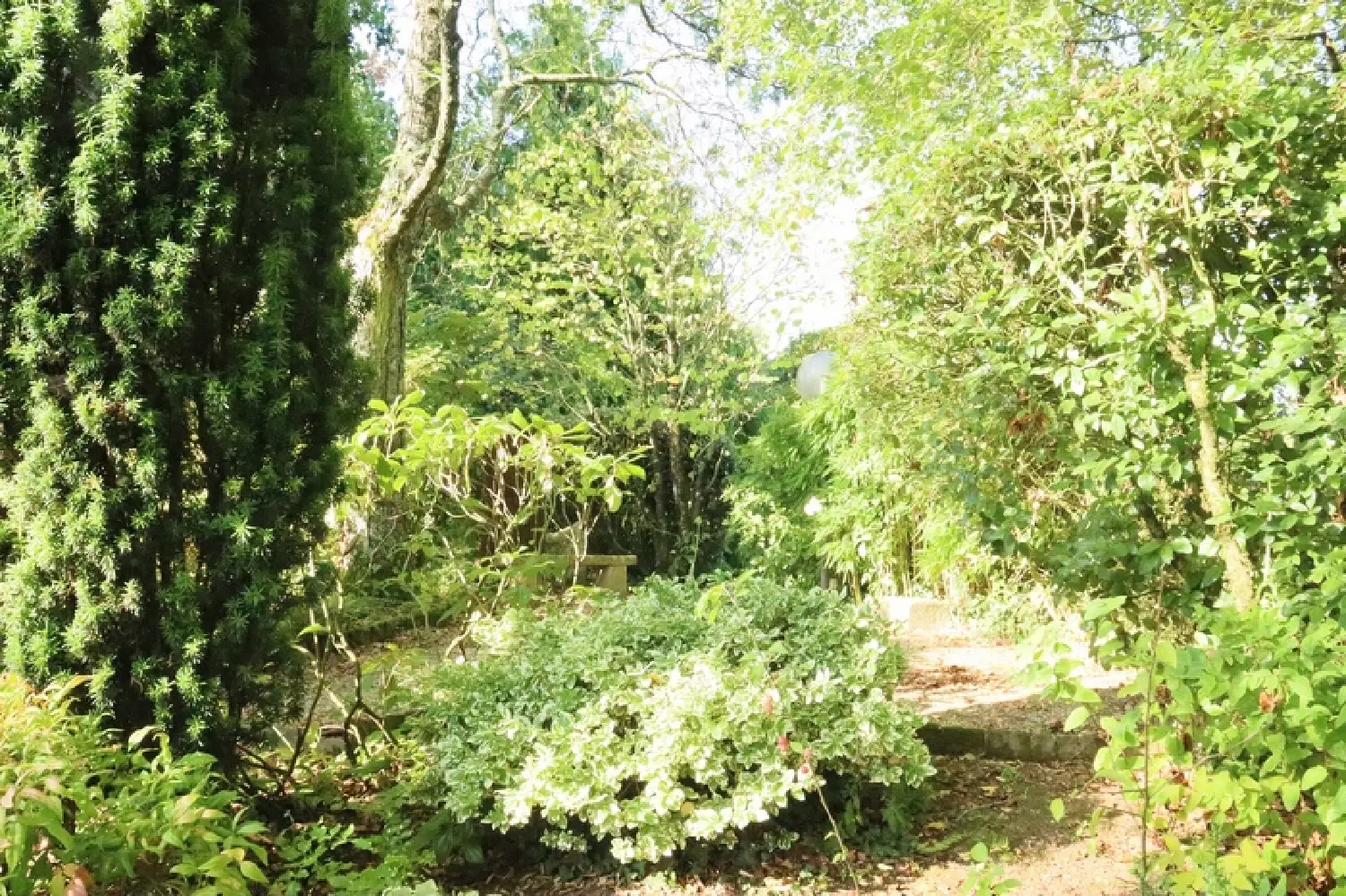  en venta casa de pueblo Vernoux-en-Gâtine Deux-Sèvres 7