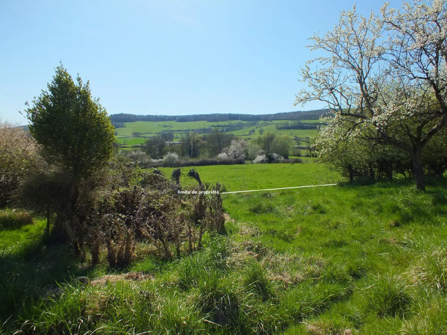  en venta casa de pueblo Villy-en-Auxois Côte-d'Or 3
