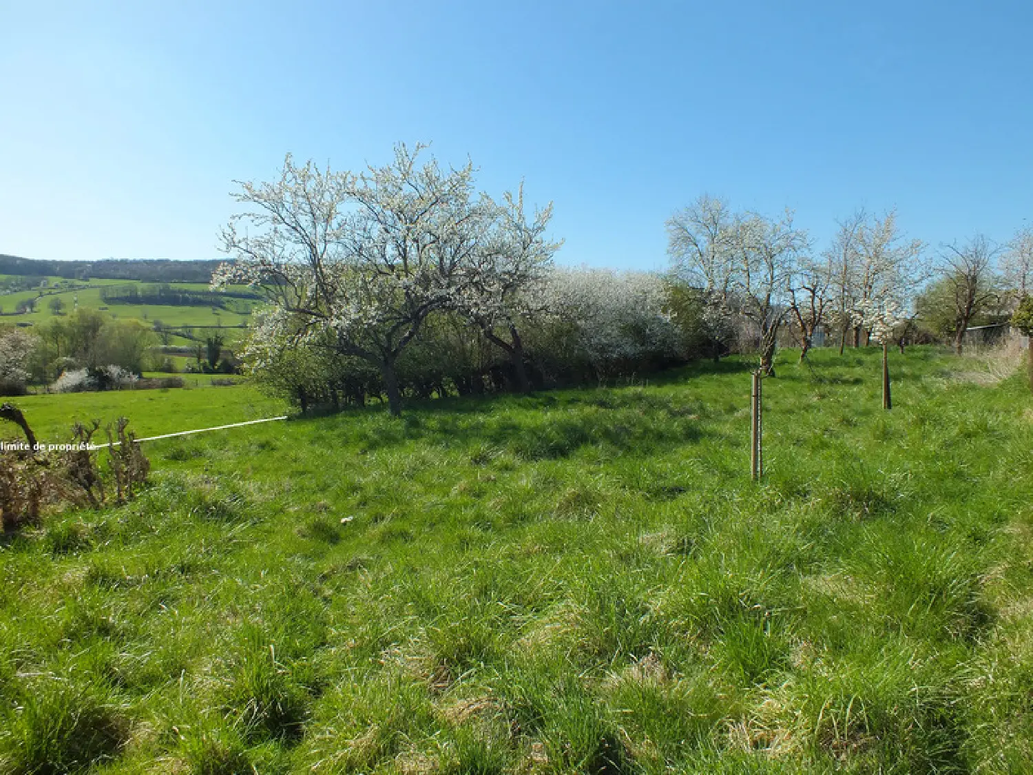  en venta casa de pueblo Villy-en-Auxois Côte-d'Or 4