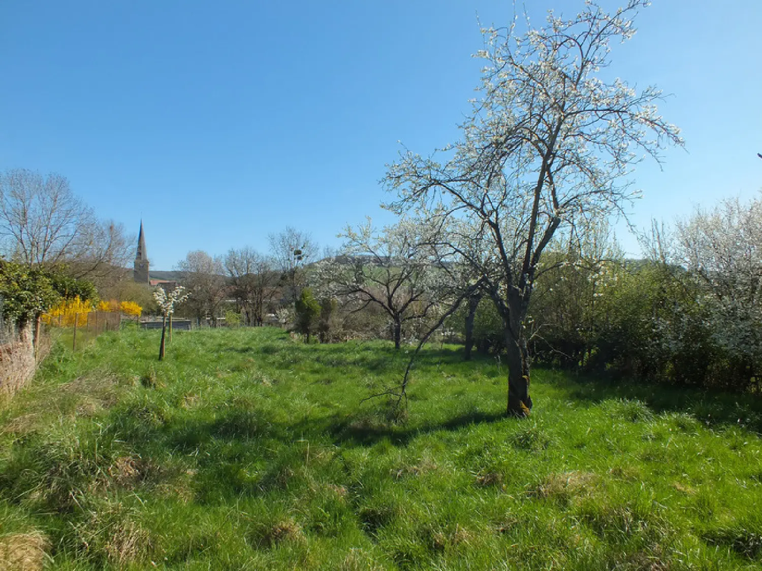  en venta casa de pueblo Villy-en-Auxois Côte-d'Or 5