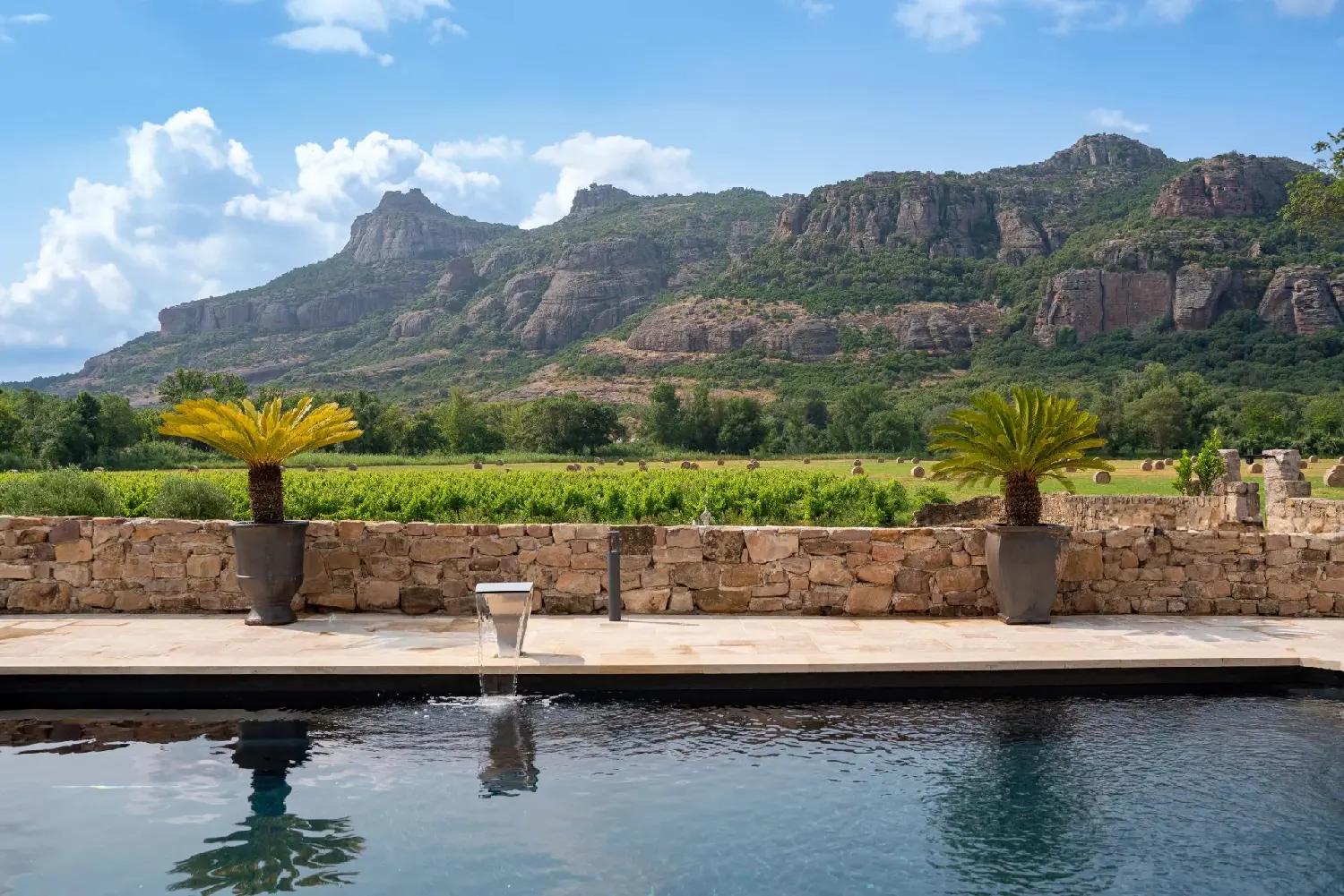 en venta viñedo Plan-de-la-Tour Var 1