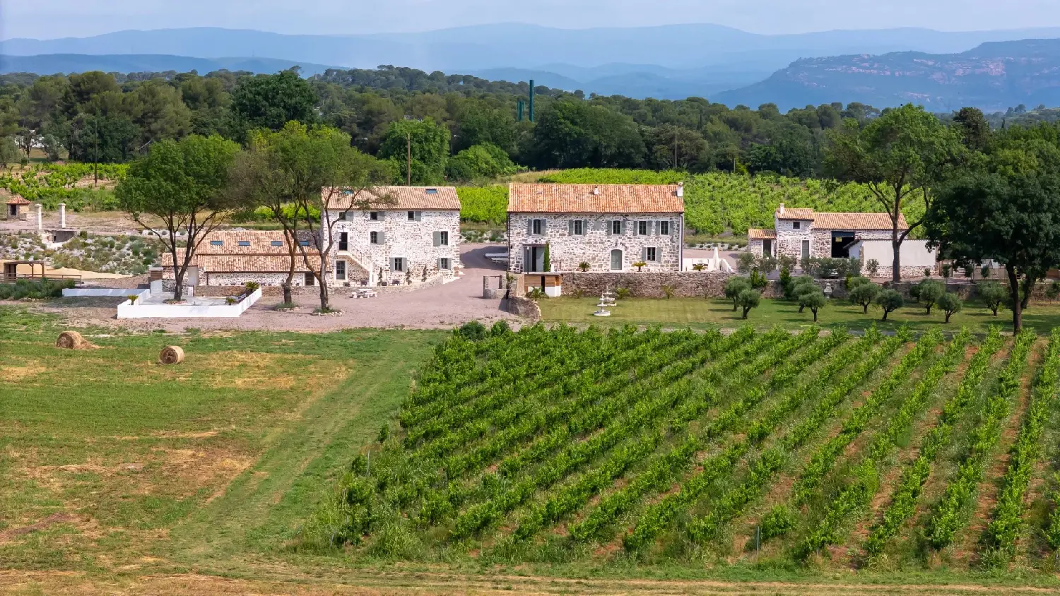  en venta viñedo Plan-de-la-Tour Var 2