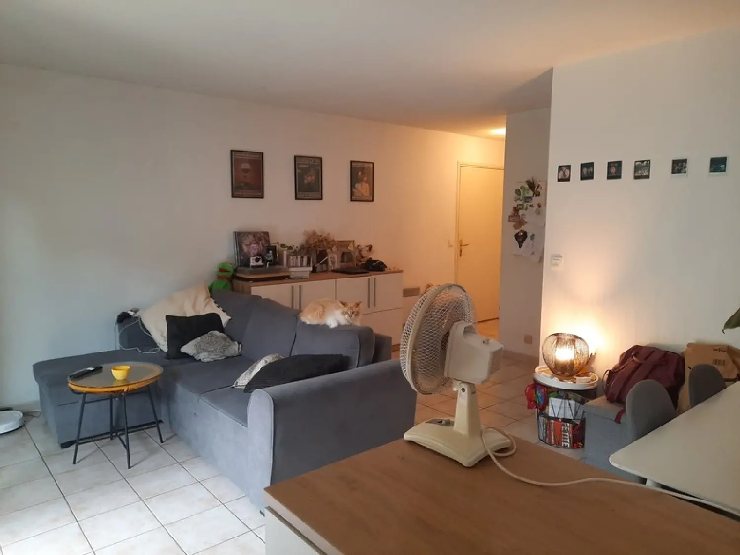  kaufen Wohnung/ Apartment Albi Tarn 2