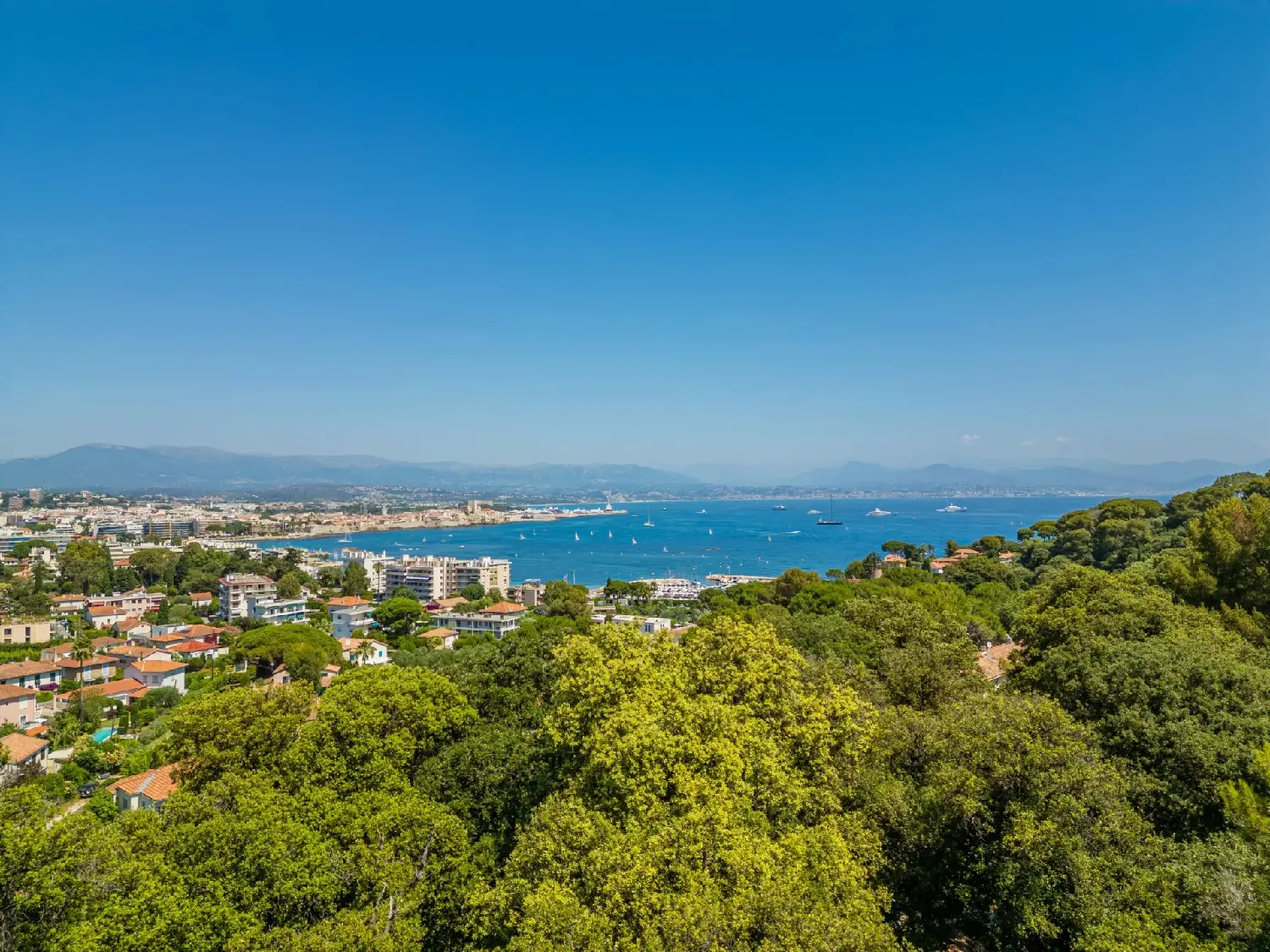  en venta apartamento Antibes Alpes-Maritimes 1