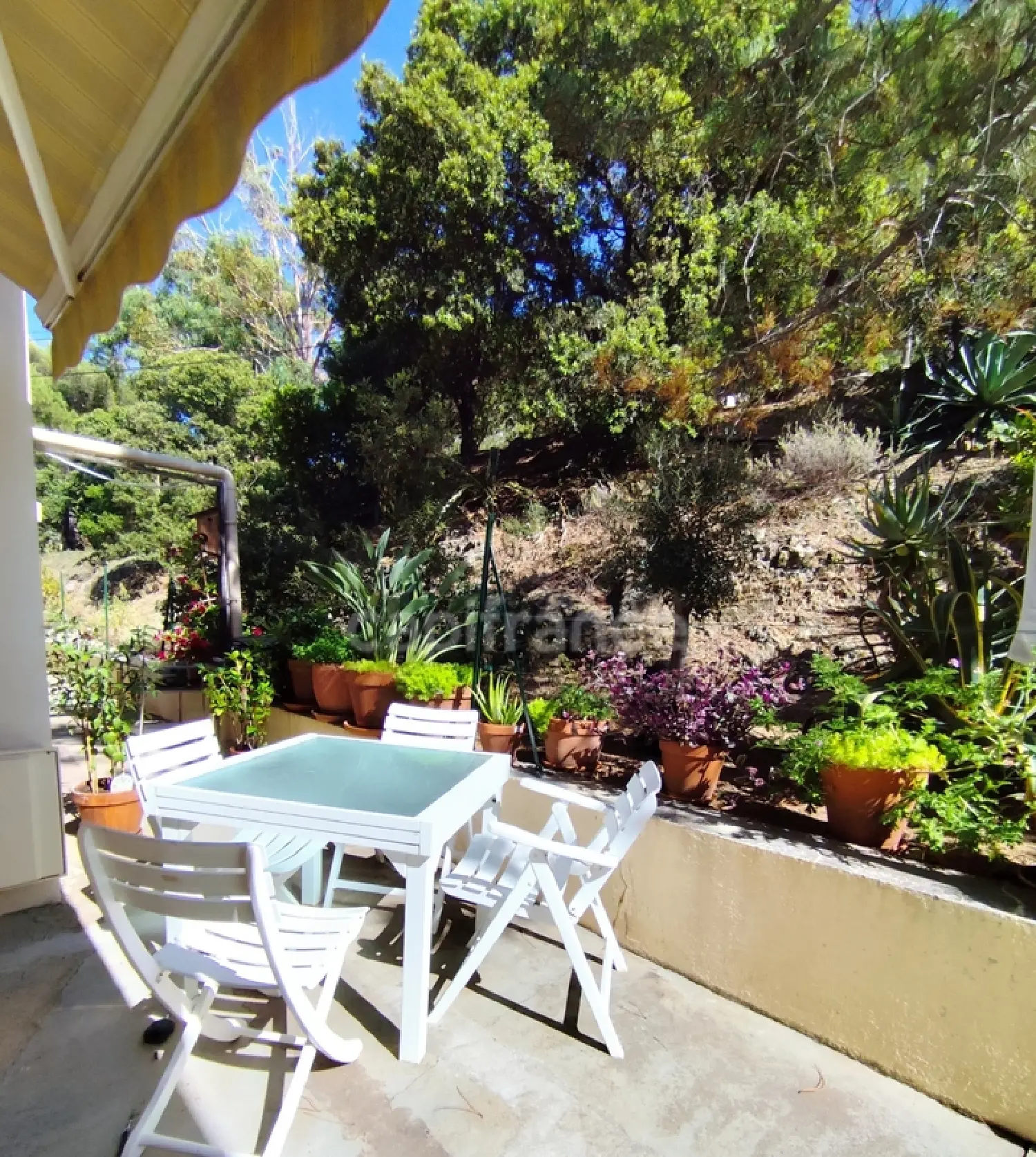  à vendre appartement Calvi Haute-Corse 3