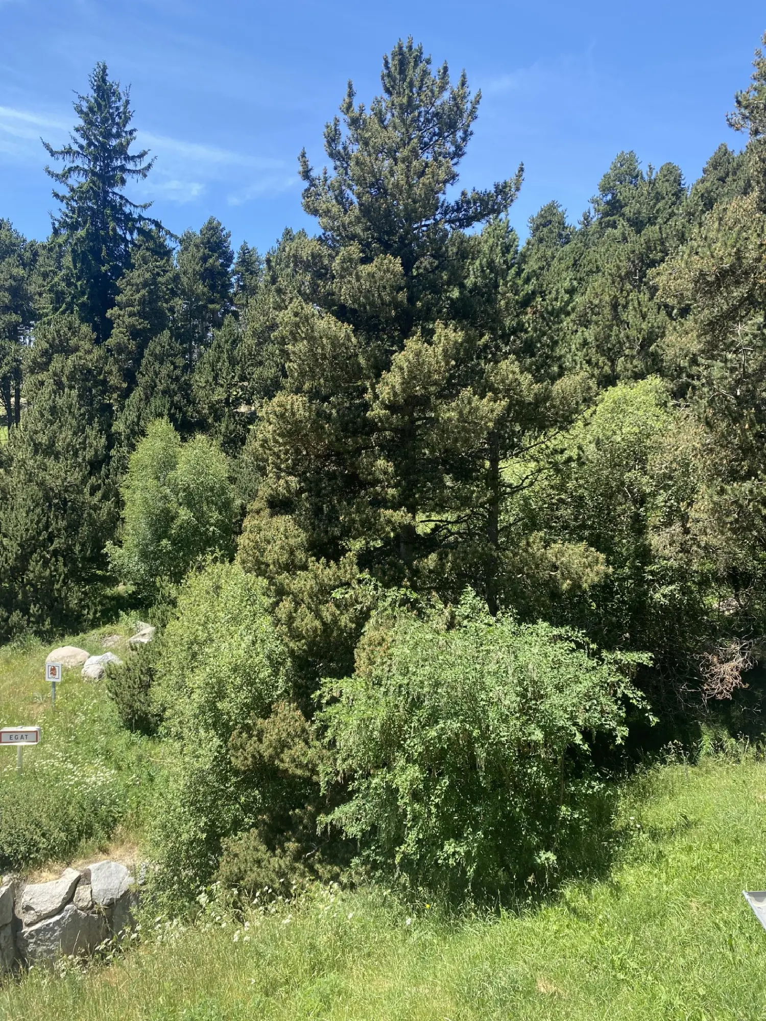 en venta apartamento Font-Romeu-Odeillo-Via Pirineo Oriental 2