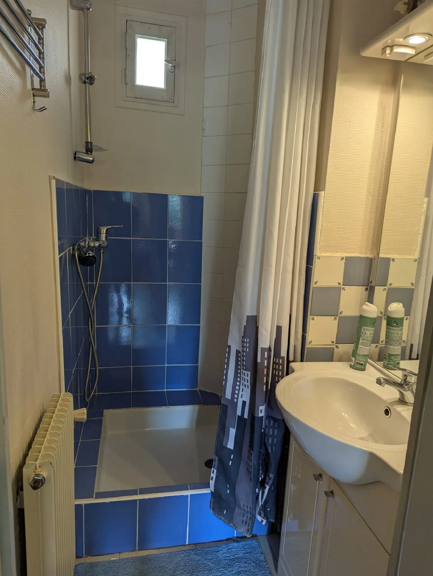  te koop appartement Grenoble Isère 7